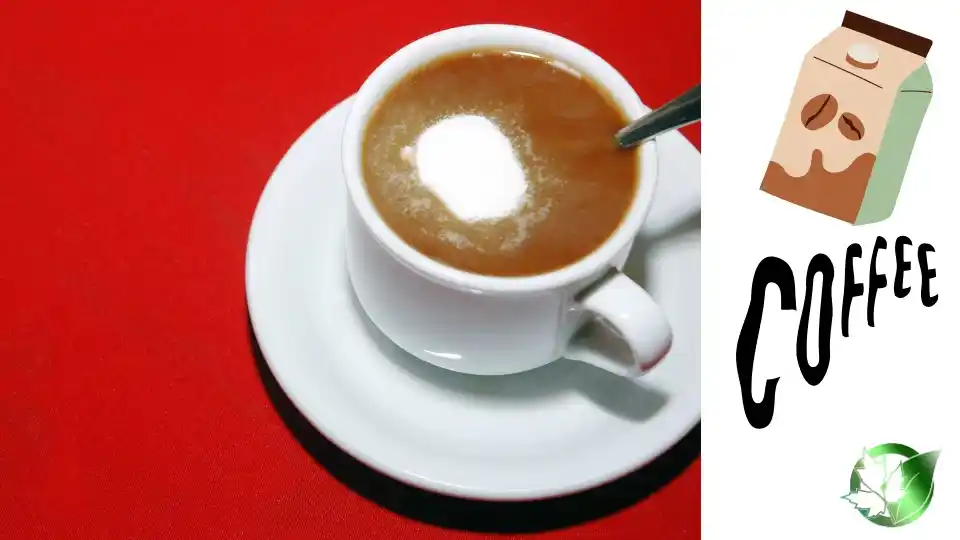 Commercial presentation of Coffee Creamer for wholesale product evaluation and buyer review.